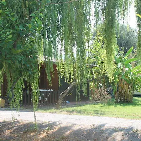 Campsite Camping Santarosa Capo d'Orlando